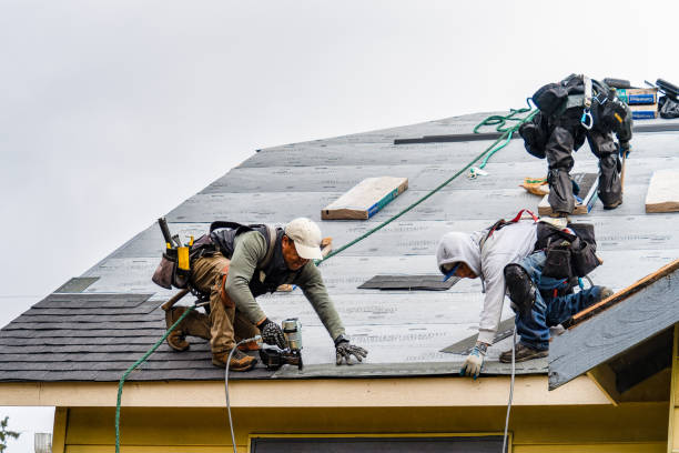Professional Roofing technician working in Davenport, ND